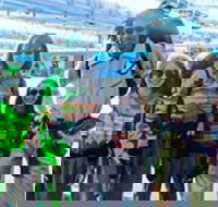 Boo at the Zoo - Foster Accommodation