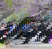 Celtic Festival of Queensland - Foster Accommodation