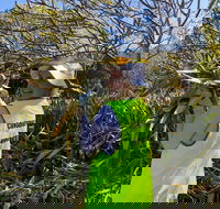 Conservation Volunteers Australia Townsville - Beach Scrub Conservation - Foster Accommodation