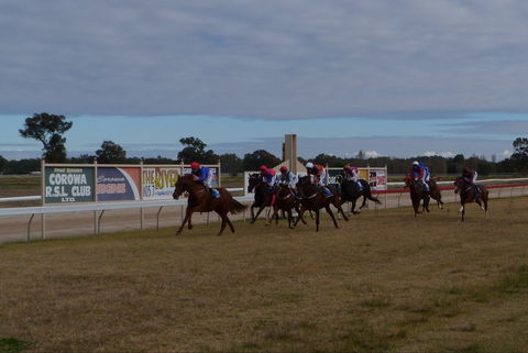 Corowa Horseraces - Foster Accommodation 0