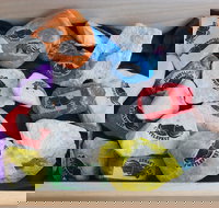 Cuttle-Rock Challenge - CUTTLEFEST 2020 - Whyalla - Foster Accommodation