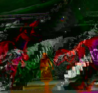 Dinomania - Postponed - Foster Accommodation