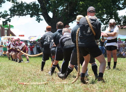 Dorrigo Agricultural Show - Foster Accommodation 1
