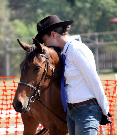 Dorrigo Agricultural Show - Foster Accommodation 2