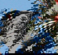 Esperance Wildflower Festival - Foster Accommodation