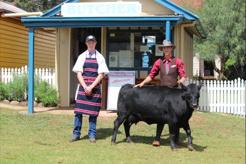 Festival Of The Big Cow - Foster Accommodation 2