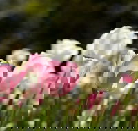 Floriade Reimagined - Foster Accommodation
