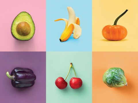 Food For Thought: Alternative Food Sources - Foster Accommodation 0