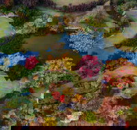 Glenrock Gardens Open Garden - Foster Accommodation