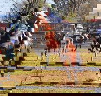 Glen Innes Pastoral and Agricultural Show - Foster Accommodation