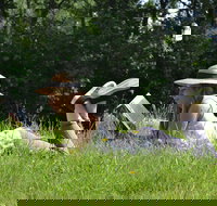 High Country Writers Festival - Foster Accommodation