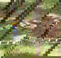 July 2020 Holidays- Go Wild at the Mt Lofty Adventure Hub - Foster Accommodation