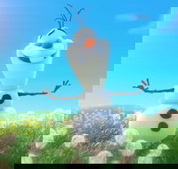 Meet Olaf from Frozen - Foster Accommodation