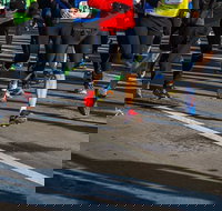 Moruya Town to Surf Fun Run - Foster Accommodation