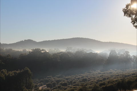 Mudgeeque - Foster Accommodation 0