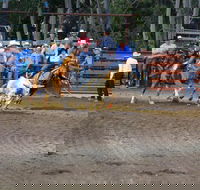 North Queensland Elite Rodeo - Foster Accommodation