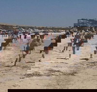 Perlubie Beach Sports Day - Foster Accommodation