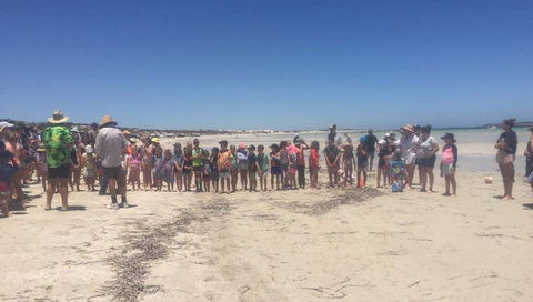 Perlubie Beach Sports Day - Foster Accommodation 1