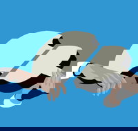 Petrenko's Shostakovich - Morning Symphony - Foster Accommodation