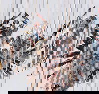 Pulse Perspectives - Foster Accommodation