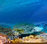 Recovery of the Great Barrier Reef - Foster Accommodation