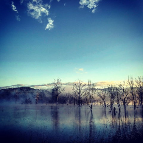 Scenic Rim Ultra - Foster Accommodation 0