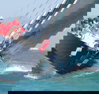 SeaLink Magnetic Island Race Week - Foster Accommodation