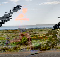 SunSmart Busselton Festival of Triathlon - Foster Accommodation