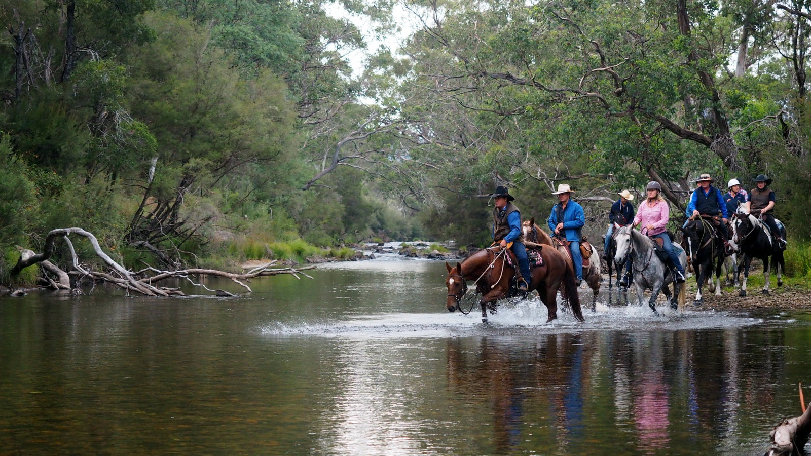 Thowgla Valley VIC Foster Accommodation