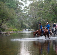 The Man From Snowy River Bush Festival - Foster Accommodation