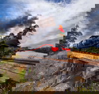 The Bellarine Railway Santa Train Specials - Foster Accommodation