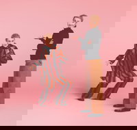 The Comedy of Errors - Foster Accommodation