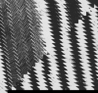 WA Now  Tom Mller Monolith Scores - Foster Accommodation