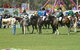 Wangaratta Show - thumb 0