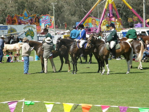 Wangaratta Show - Foster Accommodation 0