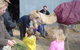 Wangaratta Show - thumb 1