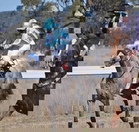 Wean Picnic Races - Foster Accommodation