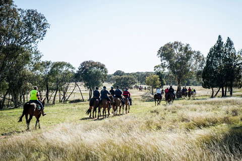Weddin Mountain Muster - Foster Accommodation 0