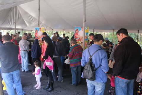 Wildflower Art And Garden Festival - Foster Accommodation 0