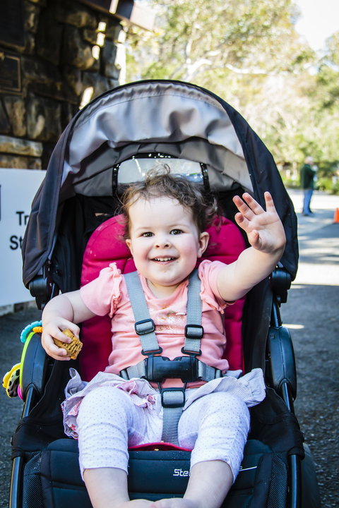 Wildflower Art And Garden Festival - Foster Accommodation 2