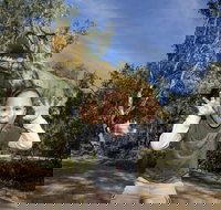 Zoorassic at Werribee Open Range Zoo. - Foster Accommodation