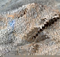 2020 Katherine Bird Festival - Foster Accommodation