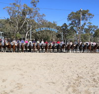 Australian Campdraft Association National Finals Campdraft 2021 - Foster Accommodation