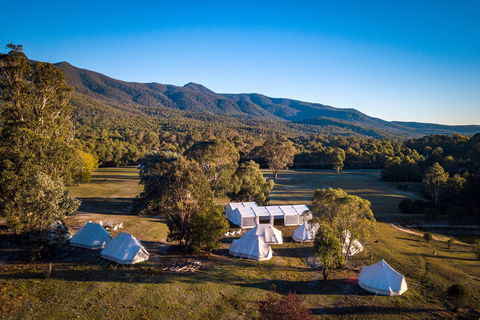 A Wild Night Out - Spring - Foster Accommodation 5