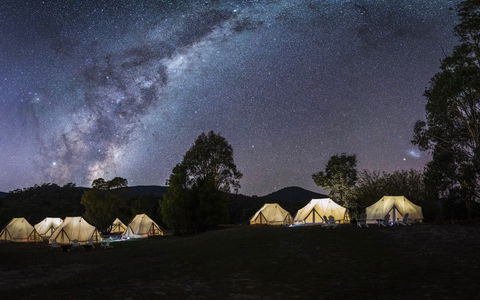 A Wild Night Out - Spring - Foster Accommodation 6