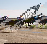 Bedourie Races and Rodeo - Foster Accommodation