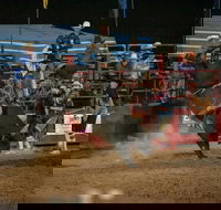 Black Opal Bull and Bronc Ride - Foster Accommodation