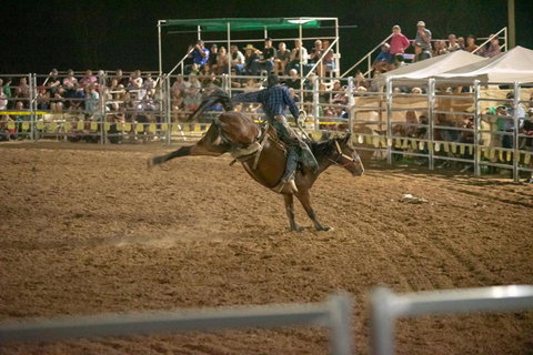 Black Opal Bull And Bronc Ride - Foster Accommodation 2