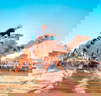 Boulia Camel Races - Foster Accommodation