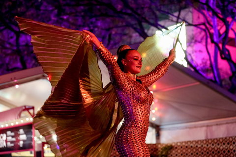 Brisbane Festival - Foster Accommodation 0